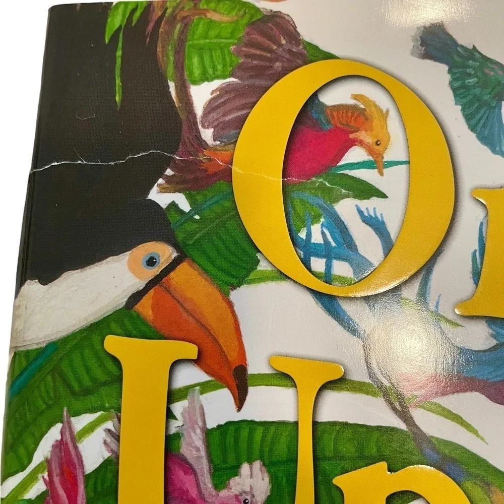 Children’s Book, “Once Upon a Book”, by Lin & Messner, 2023, Little Br…